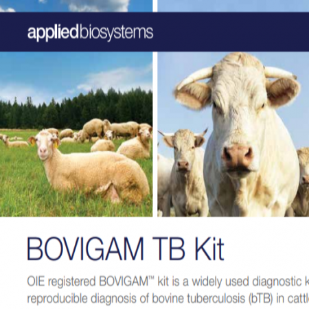 BOVIGAM™  TB Kit