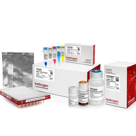 Collibri™ ES DNA Library Prep Kit for Illumina Systems, with CD indexes