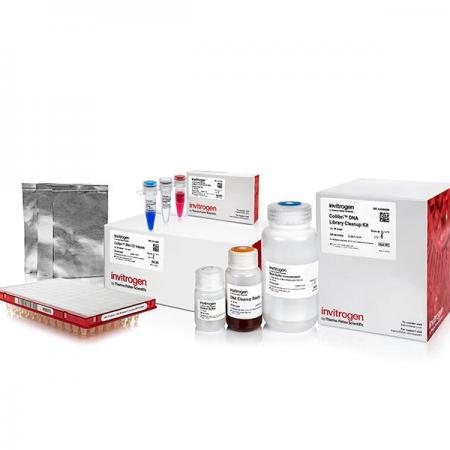 Collibri™ PCR-free ES DNA Library Prep Kit for Illumina Systems, with CD indexes