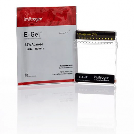 E-Gel™ Agarose Gels with SYBR™ Safe DNA Gel Stain