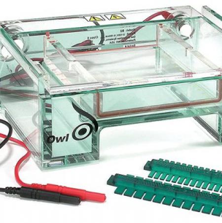 Owl™ EasyCast™ B2 Mini Gel Electrophoresis Systems