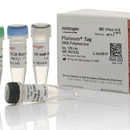 Platinum™ Taq DNA Polymerase