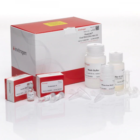 PureLink™ Viral RNA/DNA Mini Kit