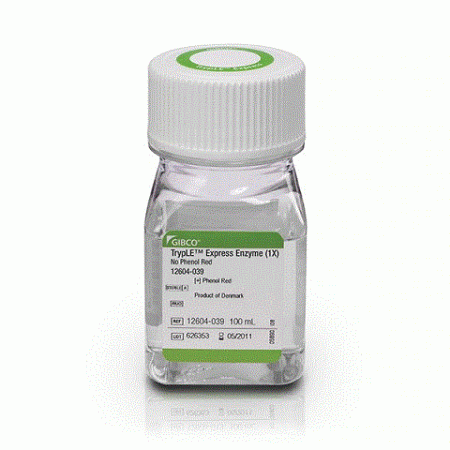 TrypLE™ Express Enzyme (1X), no phenol red