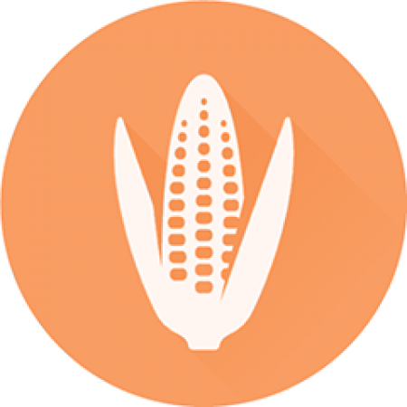 Cry3Bb LFS kit for Corn bulk grain ( 0.2 %)
