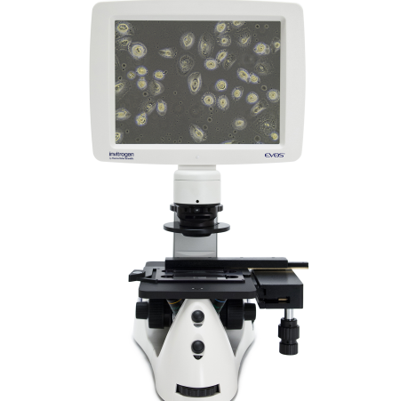 EVOS™ XL Core Imaging System