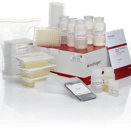 PureLink™ Pro 96 Genomic DNA Purification Kit