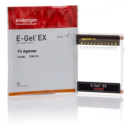 E-Gel™ EX Agarose Gels